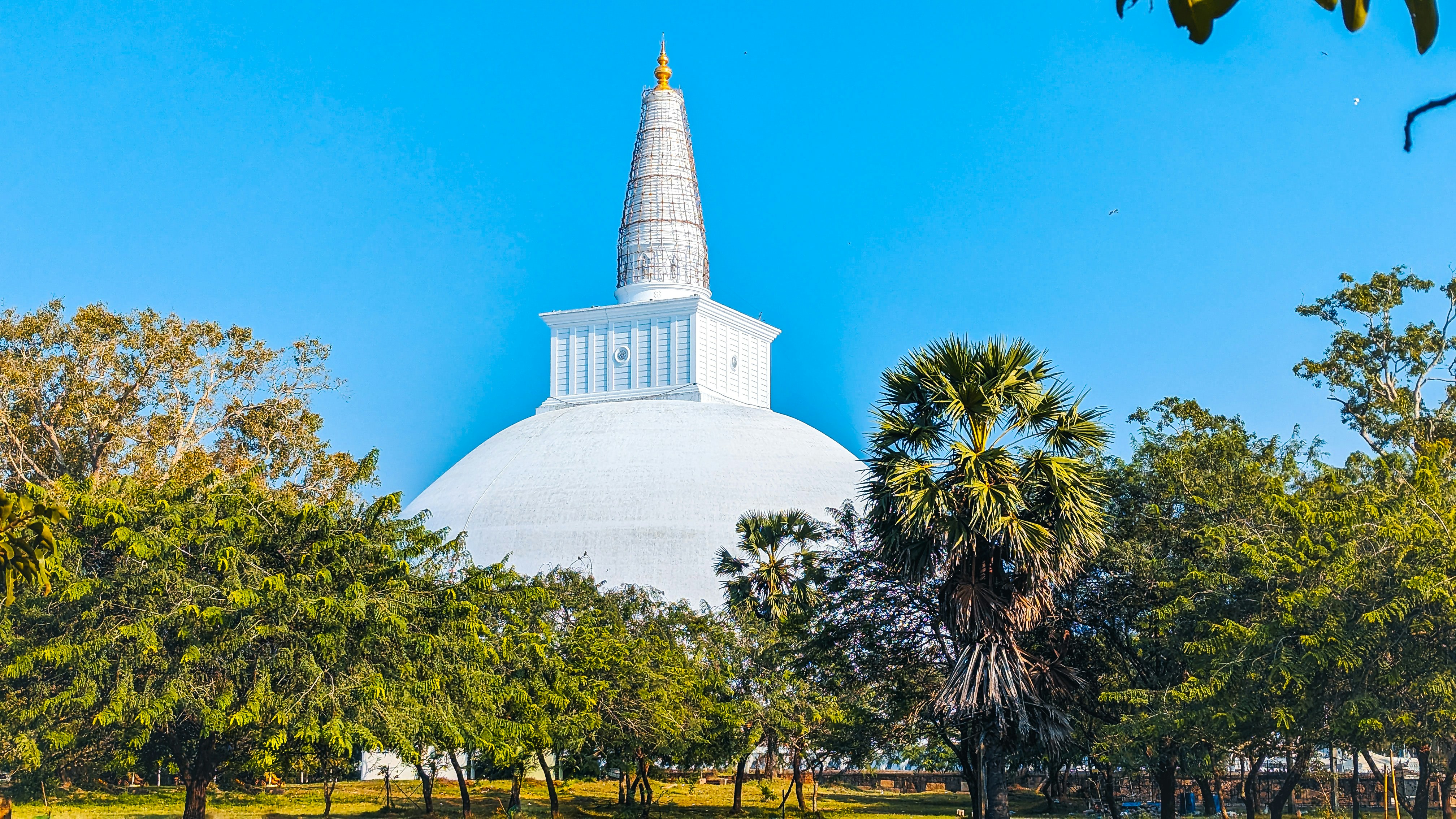 Sri Lanka tour package with AASH Travels – beaches, cultural heritage, wildlife safaris, and scenic adventures