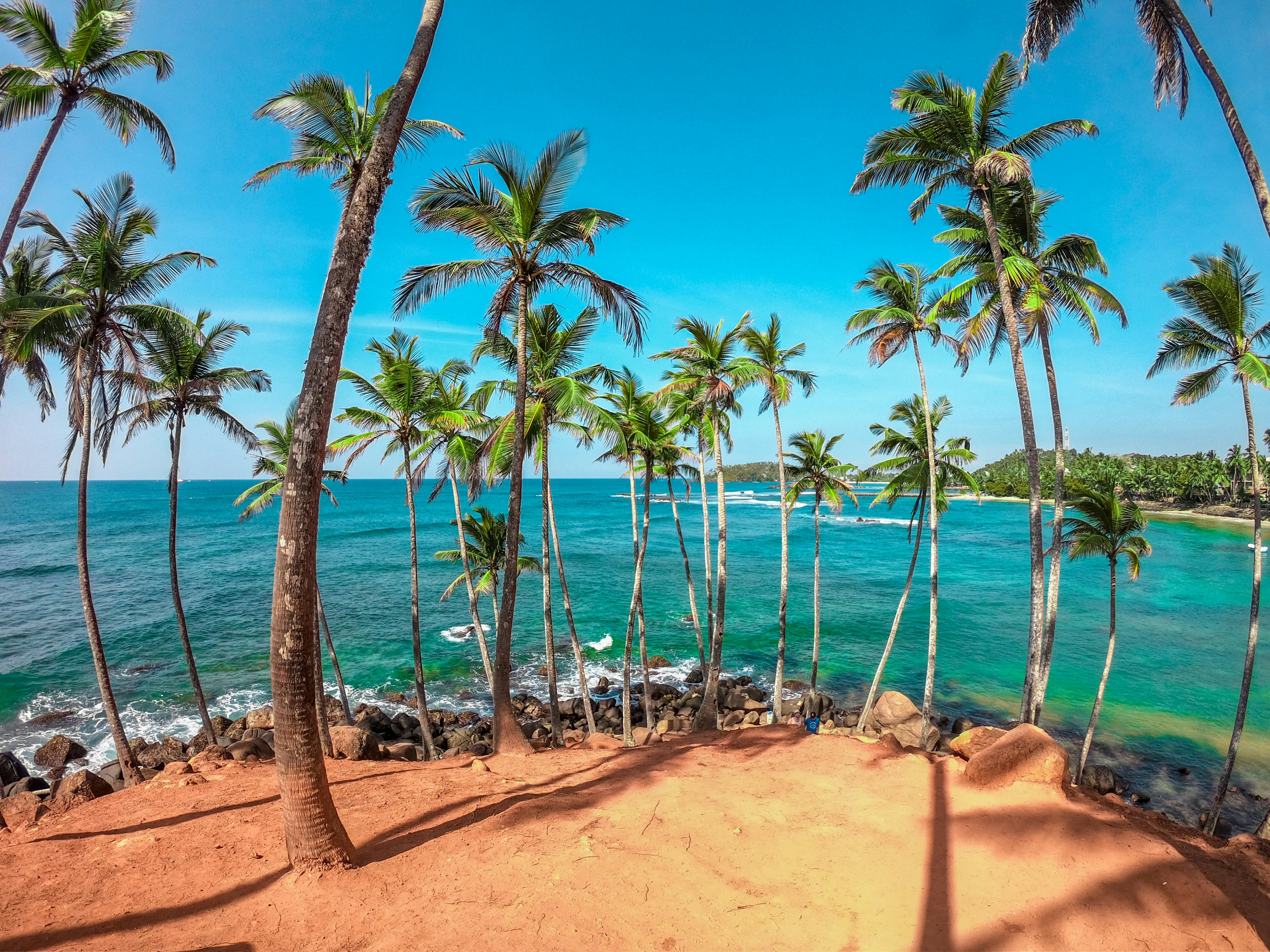 Sri Lanka tour package with AASH Travels – beaches, cultural heritage, wildlife safaris, and scenic adventures