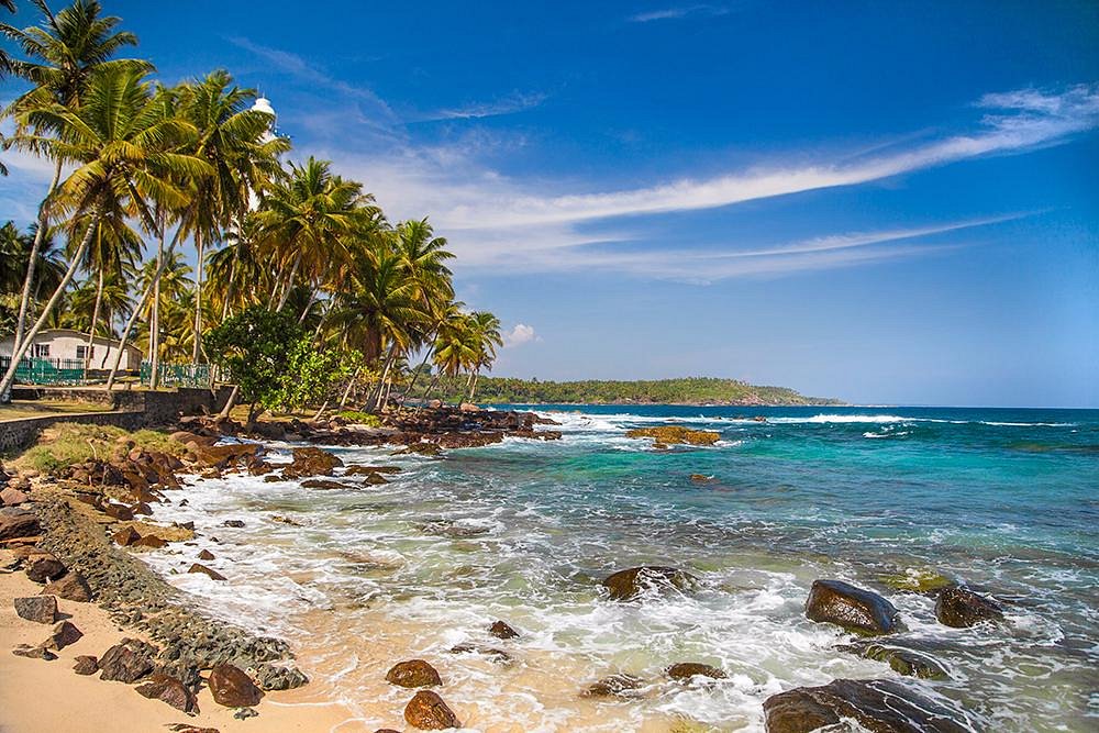 Surfing Tours in Sri Lanka – Ride the Island Waves with Aash Travels